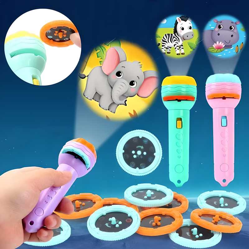 Slide Flashlight Torch Educational toy (Kids)